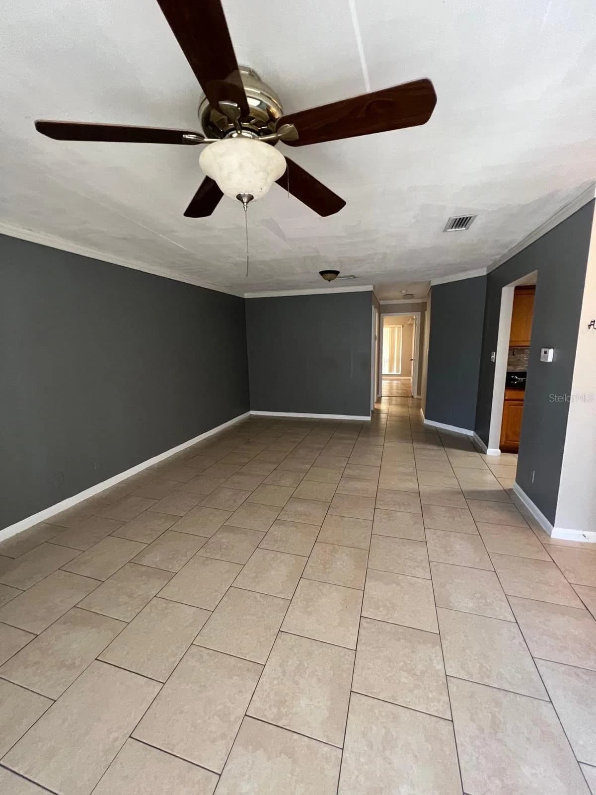 2634 LEMON TREE 4