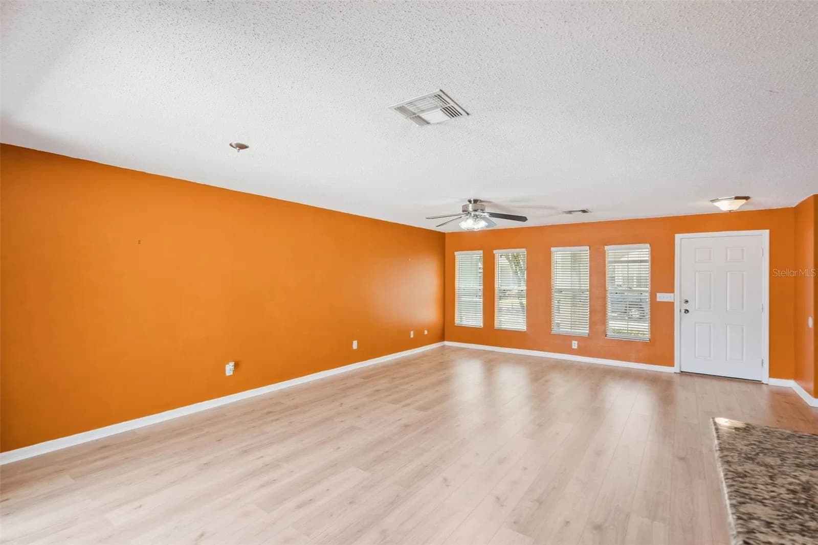 14445 CHINESE ELM 4