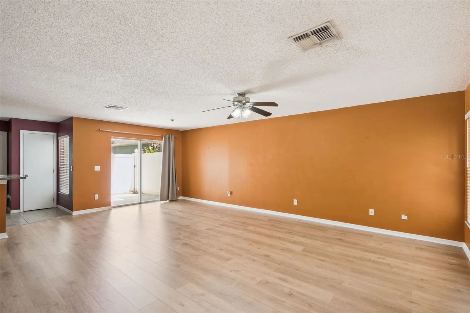 14445 CHINESE ELM 5
