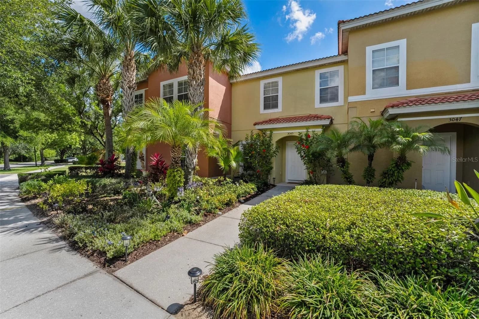 3045 YELLOW LANTANA 3