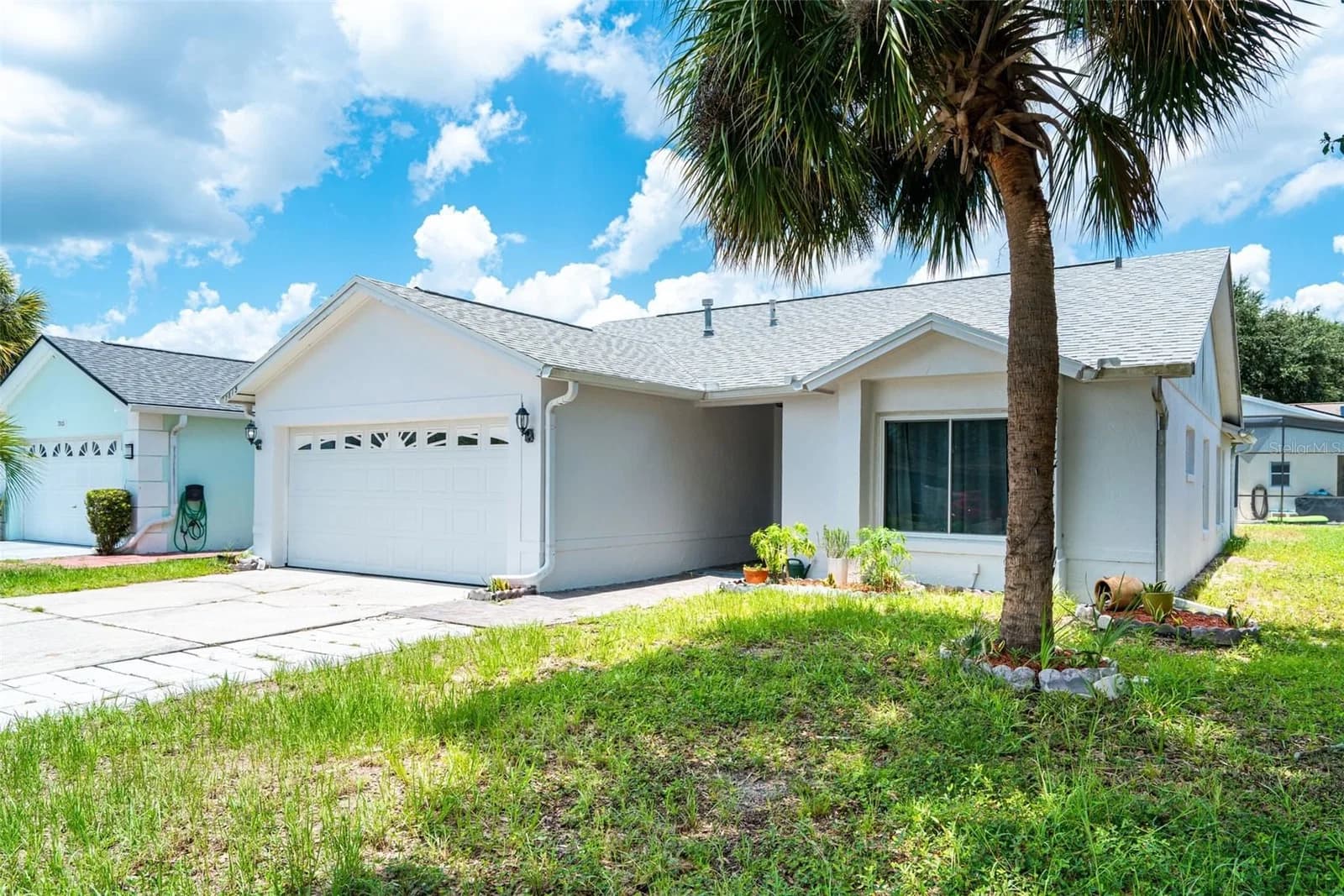 7813 TURKEY OAK 2
