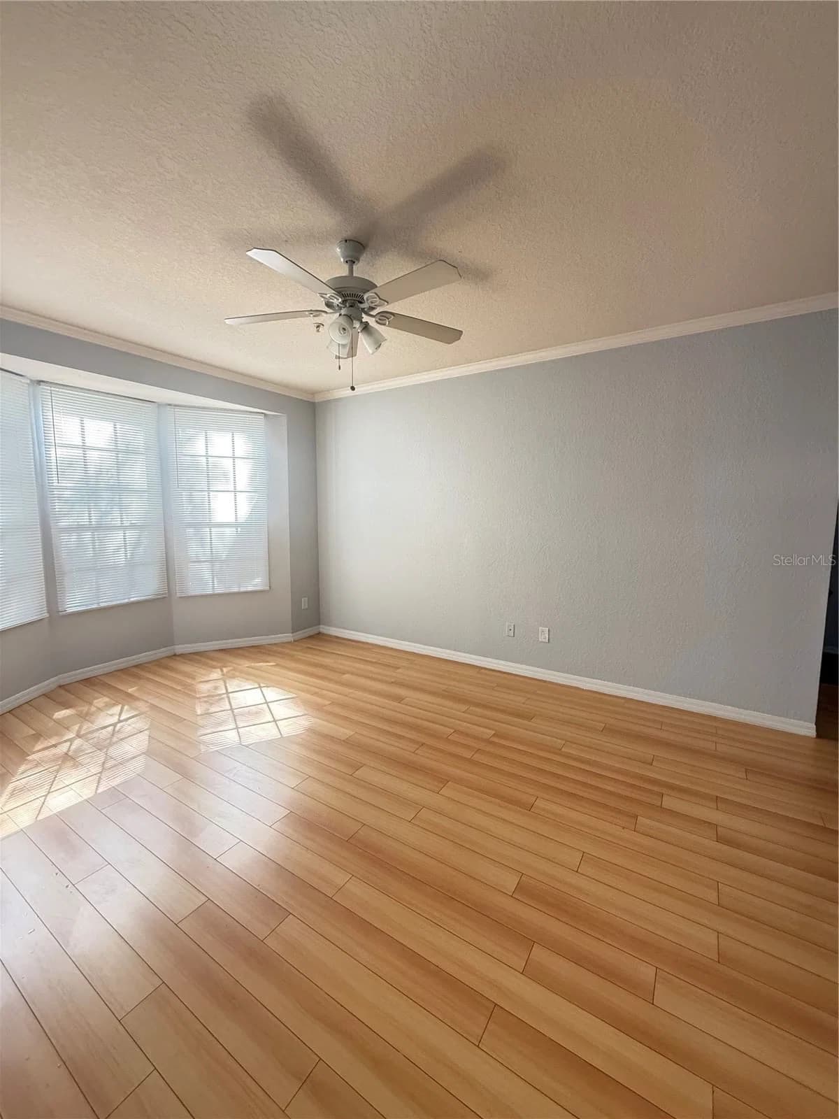 6316 RALEIGH 4