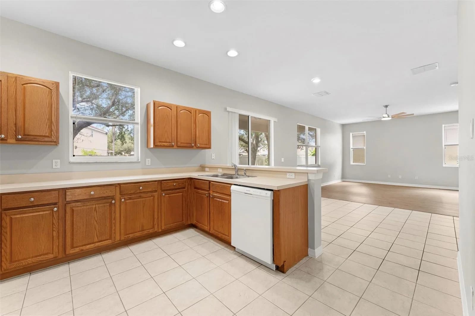 10215 CYPRESS KNEE 4