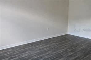 2531 FAN PALM 3