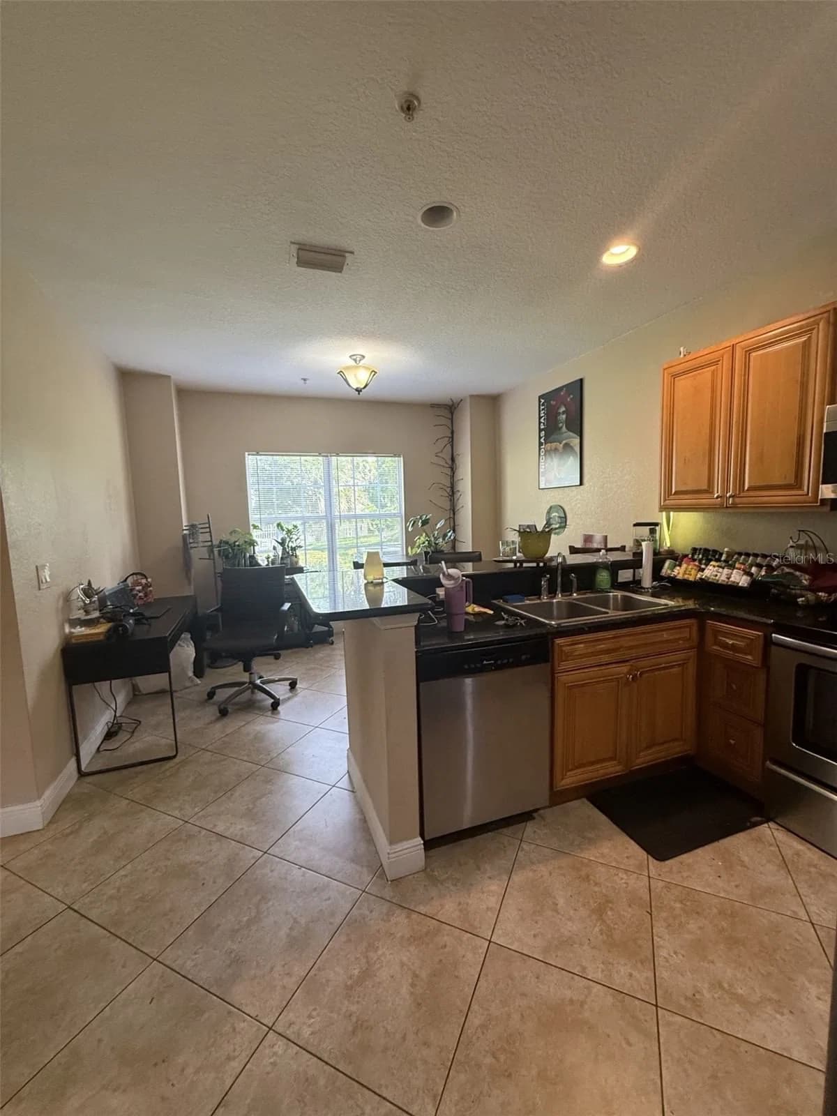 3721 LAKE ORLANDO 5