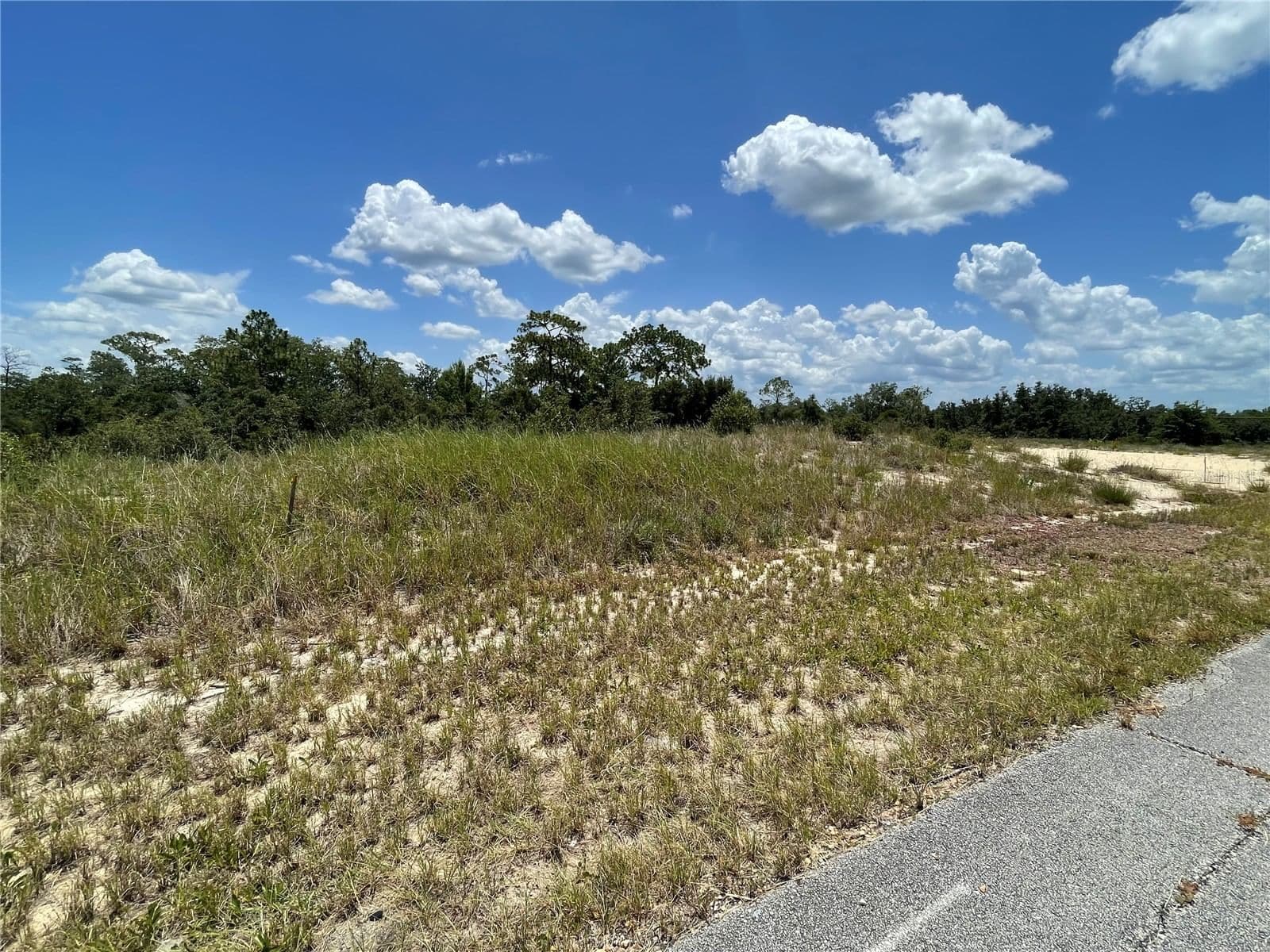 1342 HOMOSASSA 2