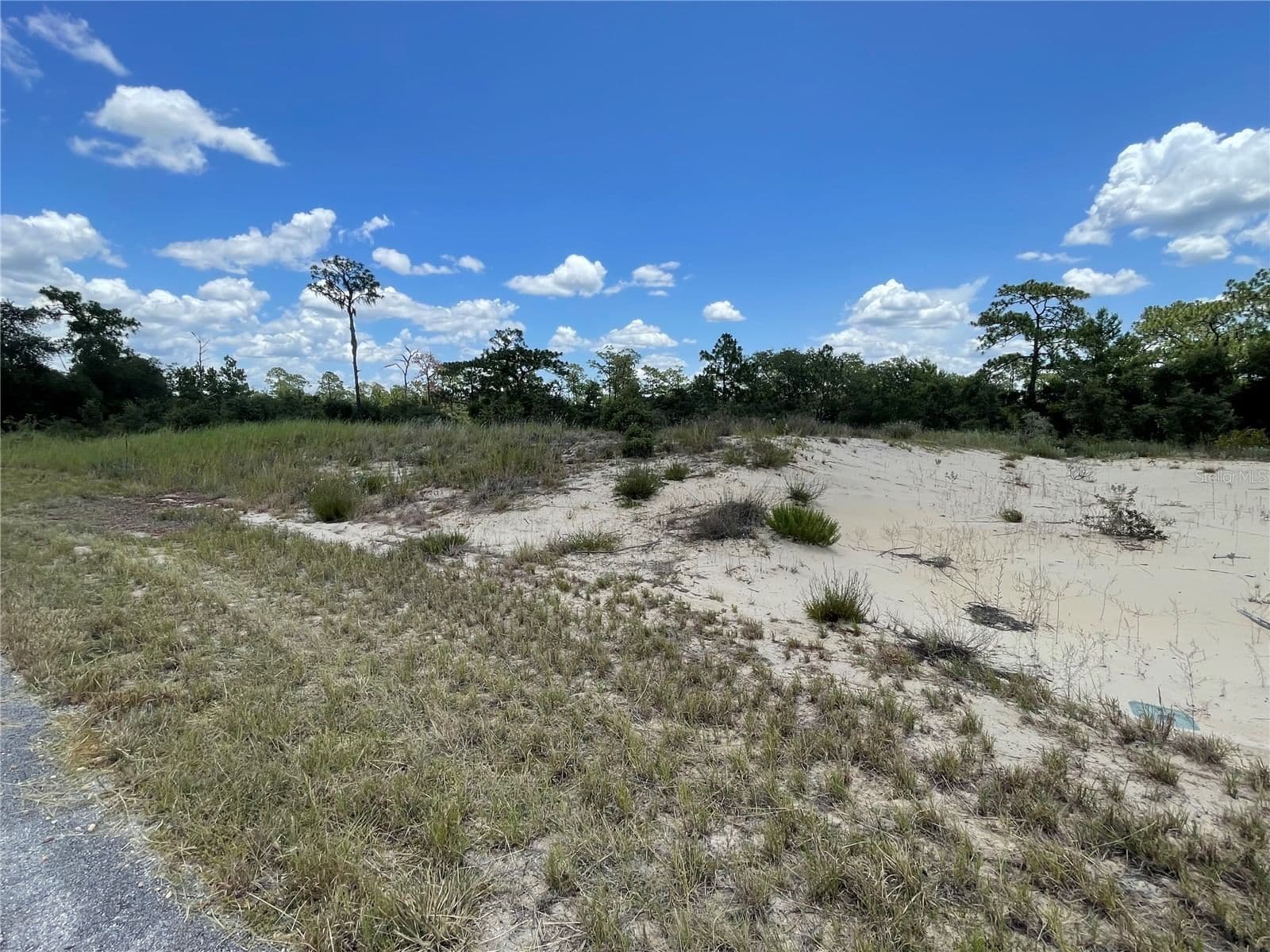 1342 HOMOSASSA 3