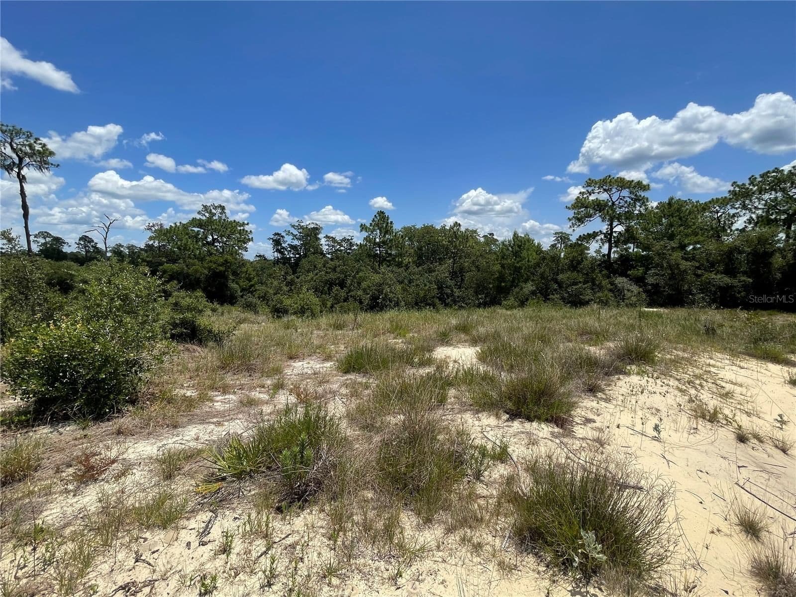 1342 HOMOSASSA 4