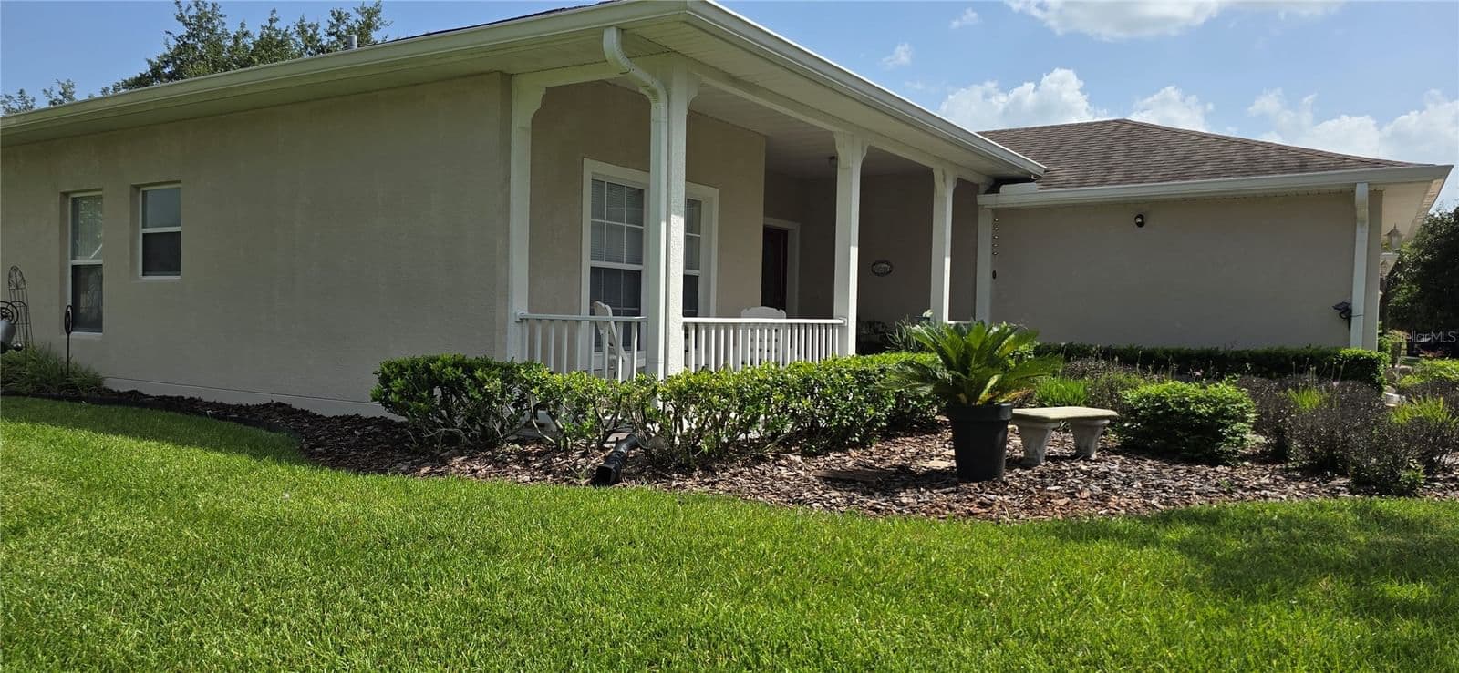 Poinciana 2