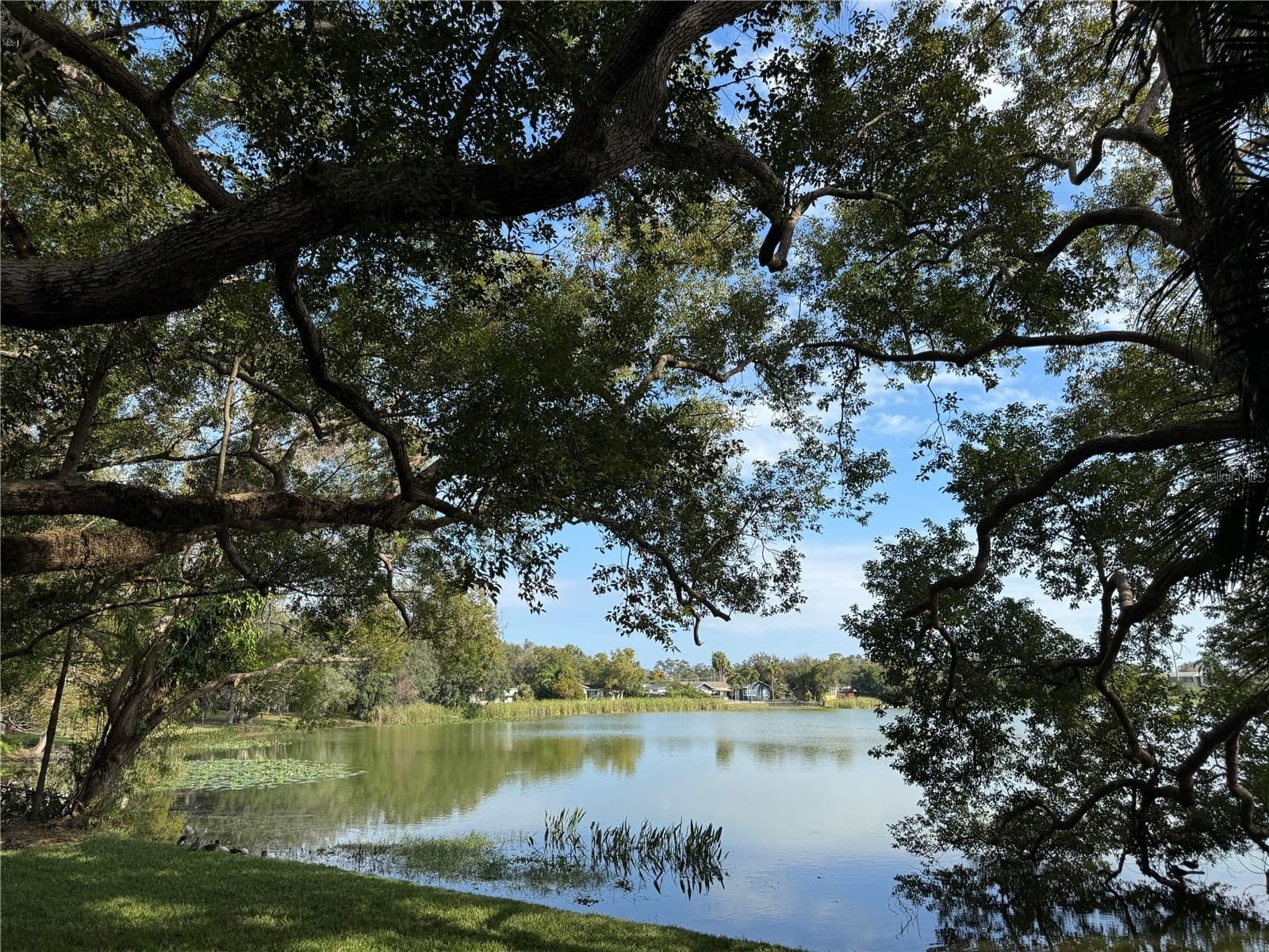 2943 EAGLE LAKE, Orlando, FL 32837 3