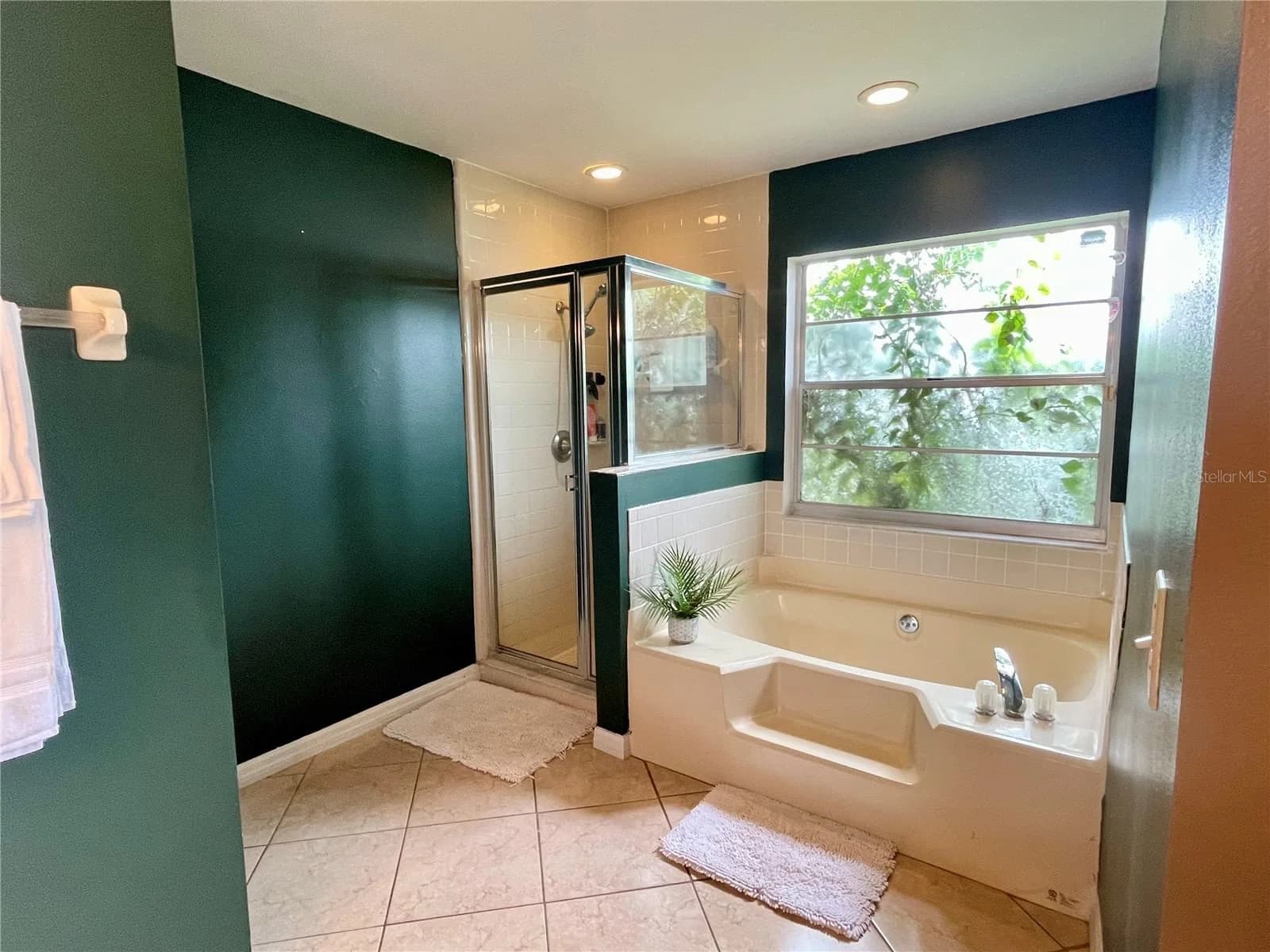 1150 INDIAN RIDGE 5