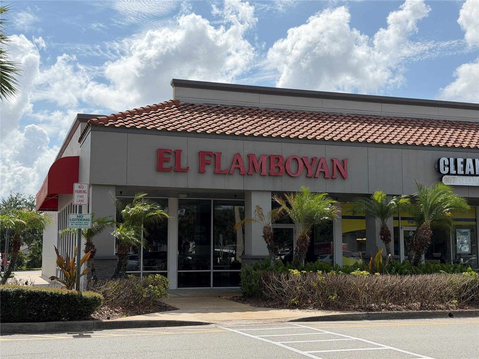 12141 ORANGE BLOSSOM 2