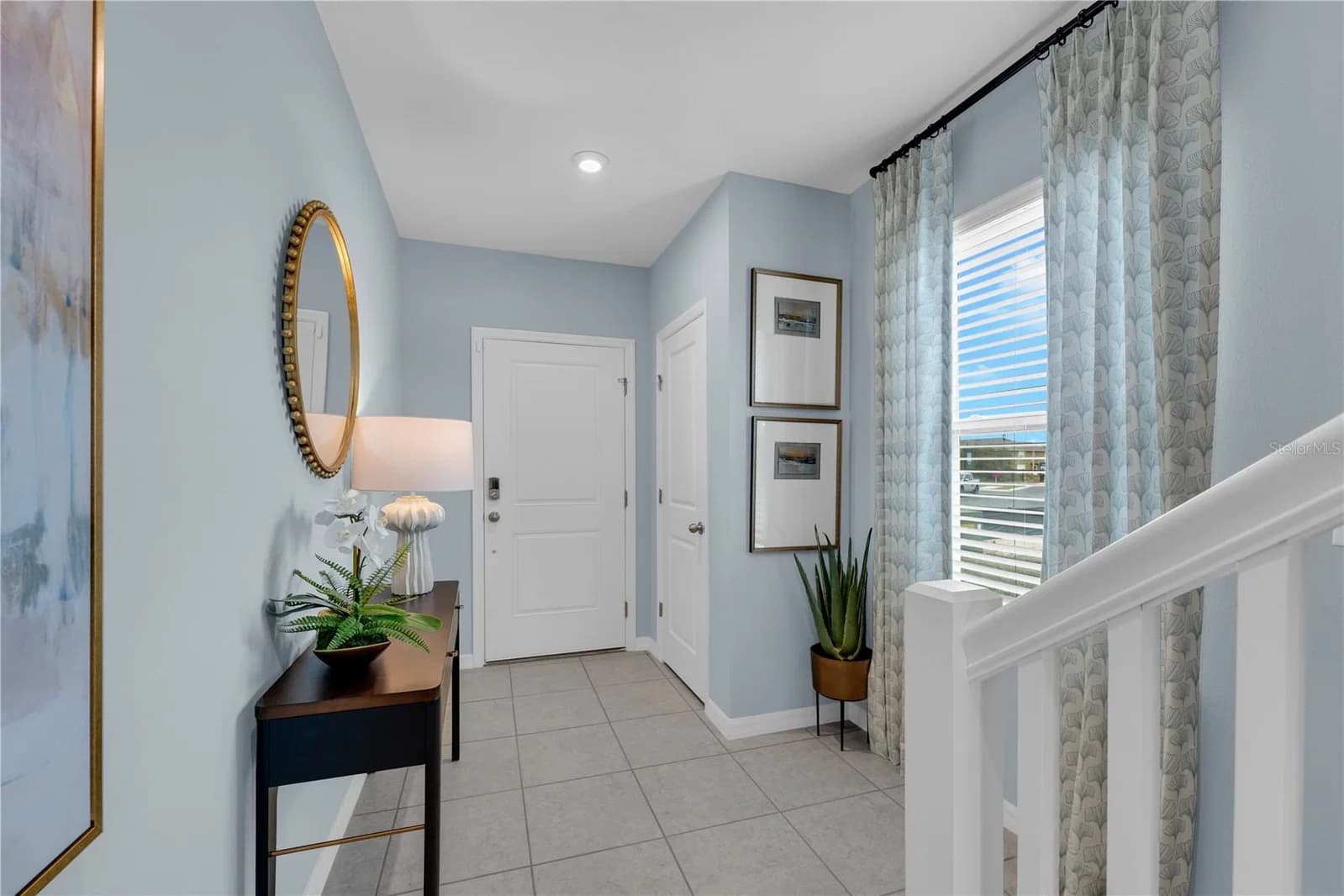 238 CUBAN ROYAL PALM 5