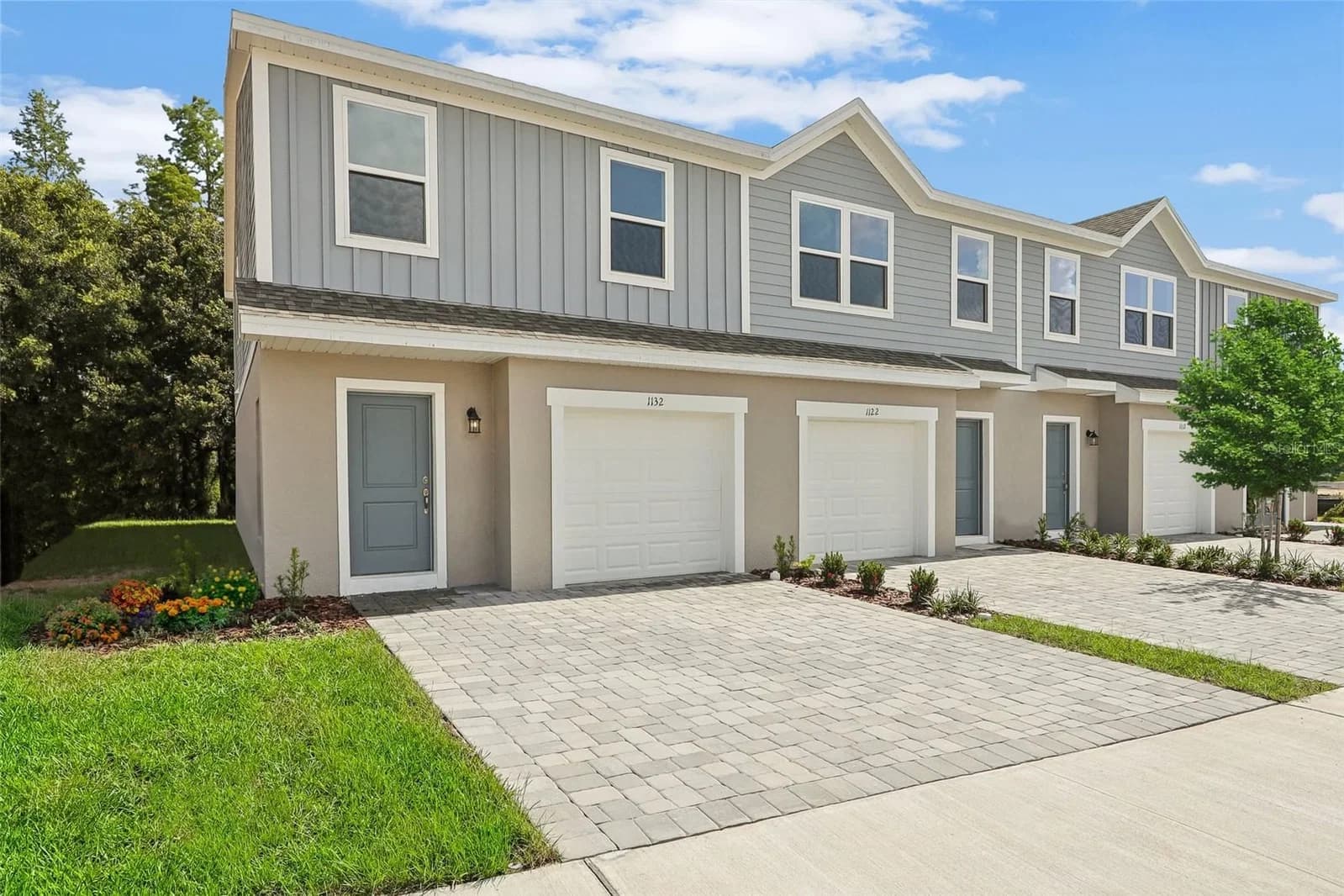 238 CUBAN ROYAL PALM 2