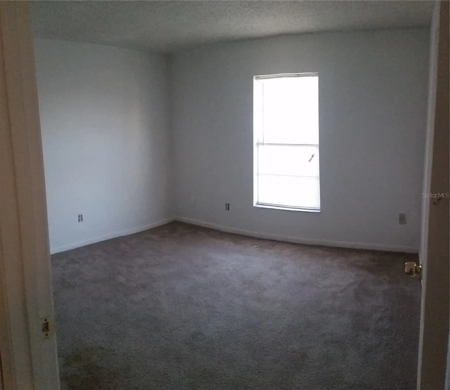 7312 BALBOA 4
