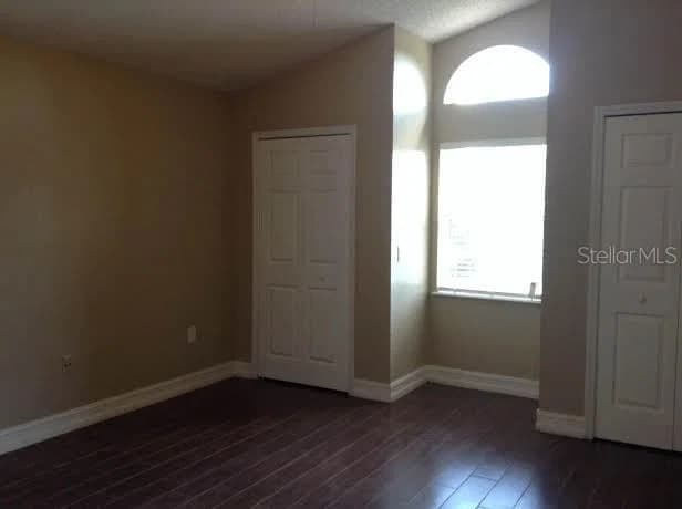 8215 GOLDEN CHICKASAW 5