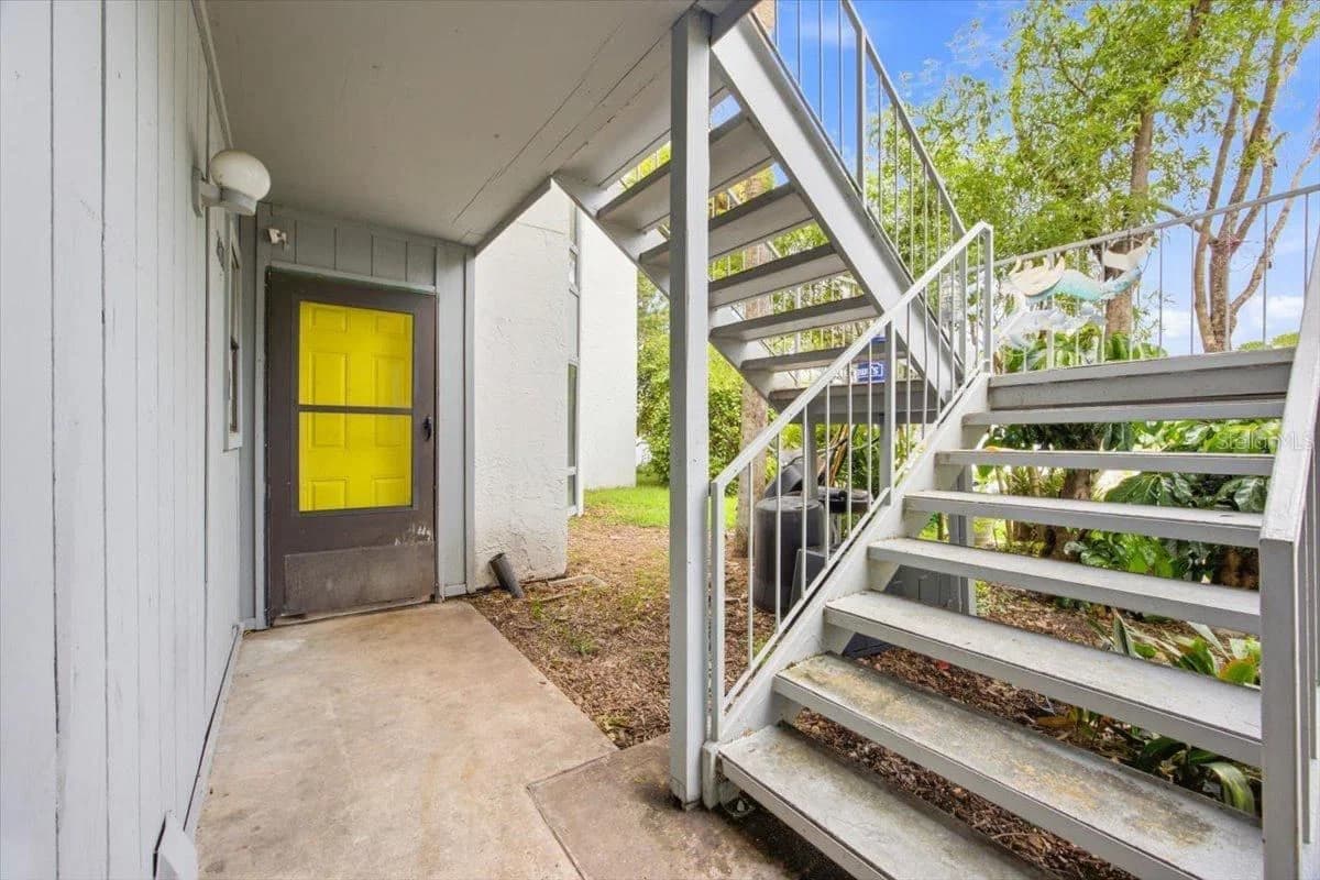 2628 LEMON TREE 2