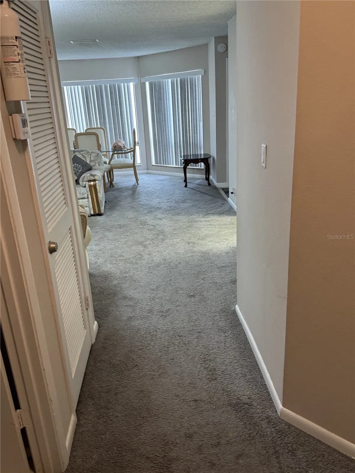 2430 LEMON TREE 2