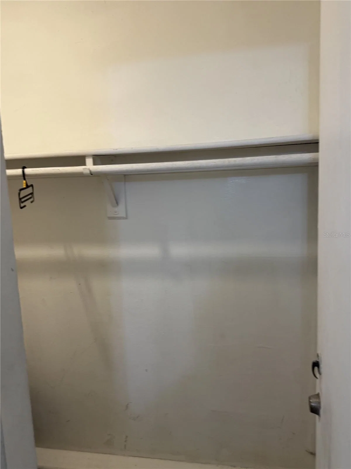 2512 LEMON TREE 5