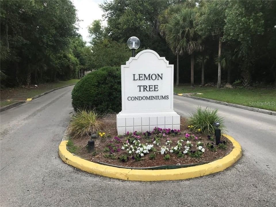 2512 LEMON TREE 3