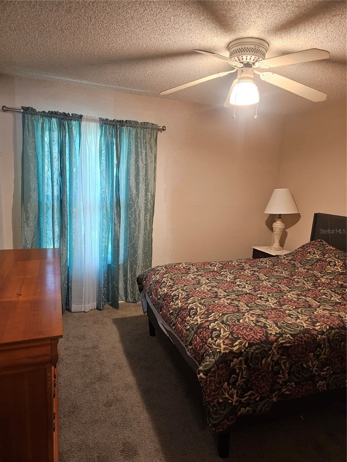 2512 LEMON TREE 4
