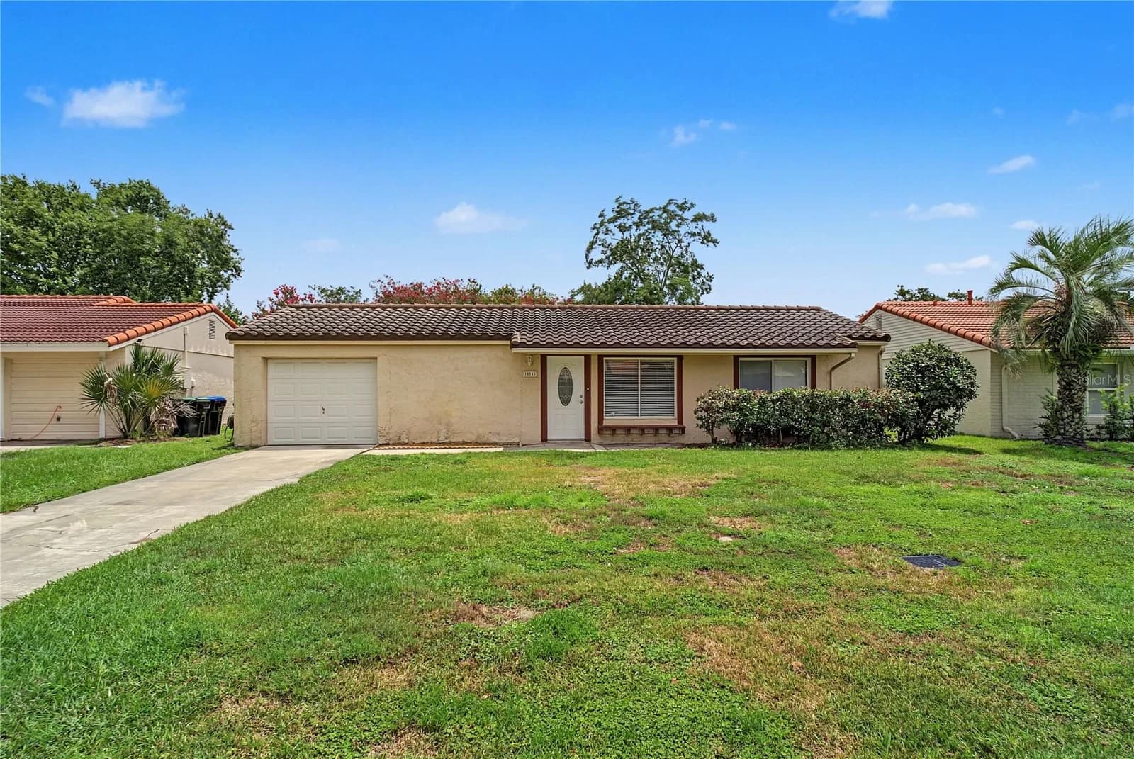 10145 BLUFF 2