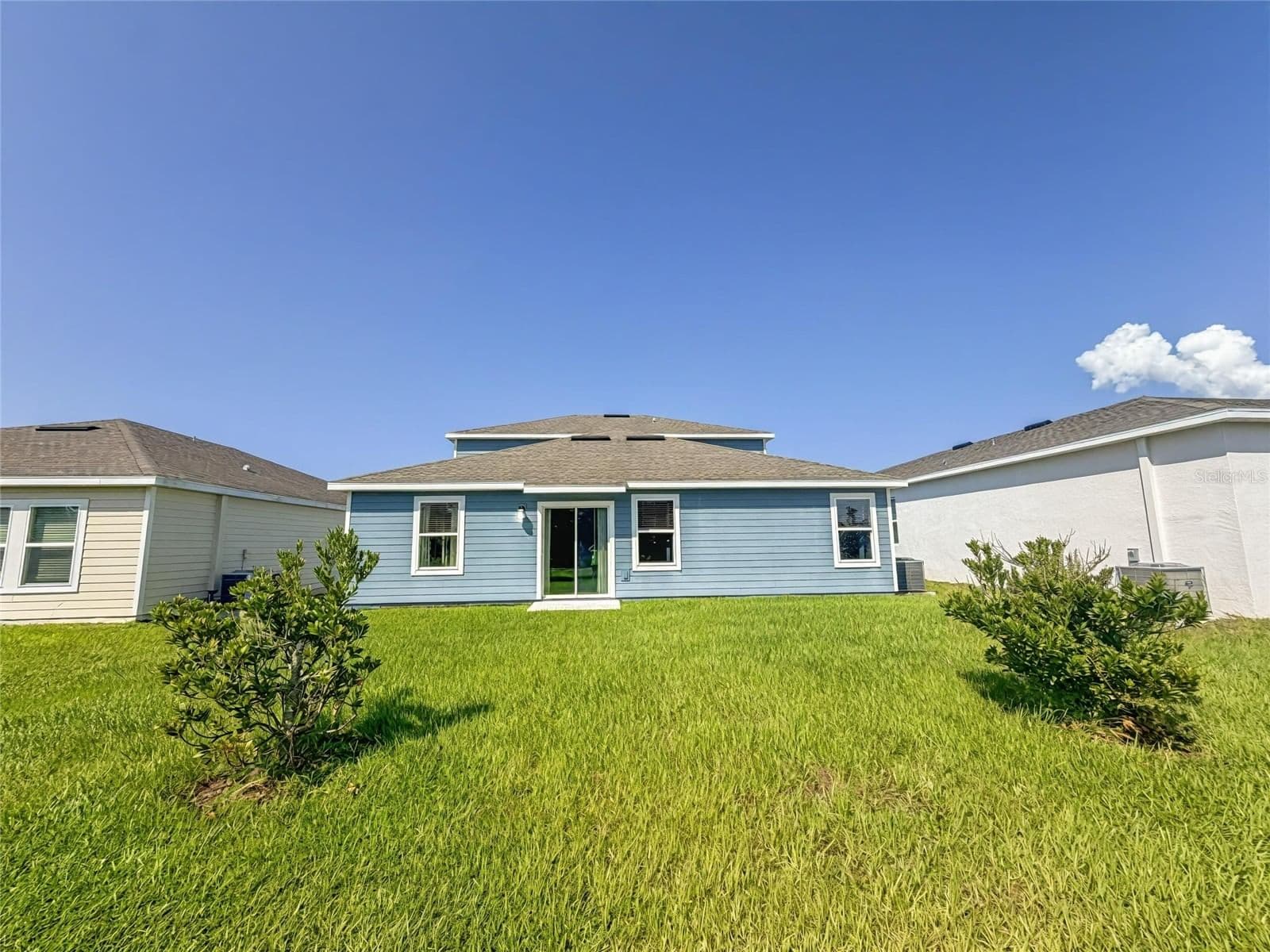 2009 MYRTLE PINE 4