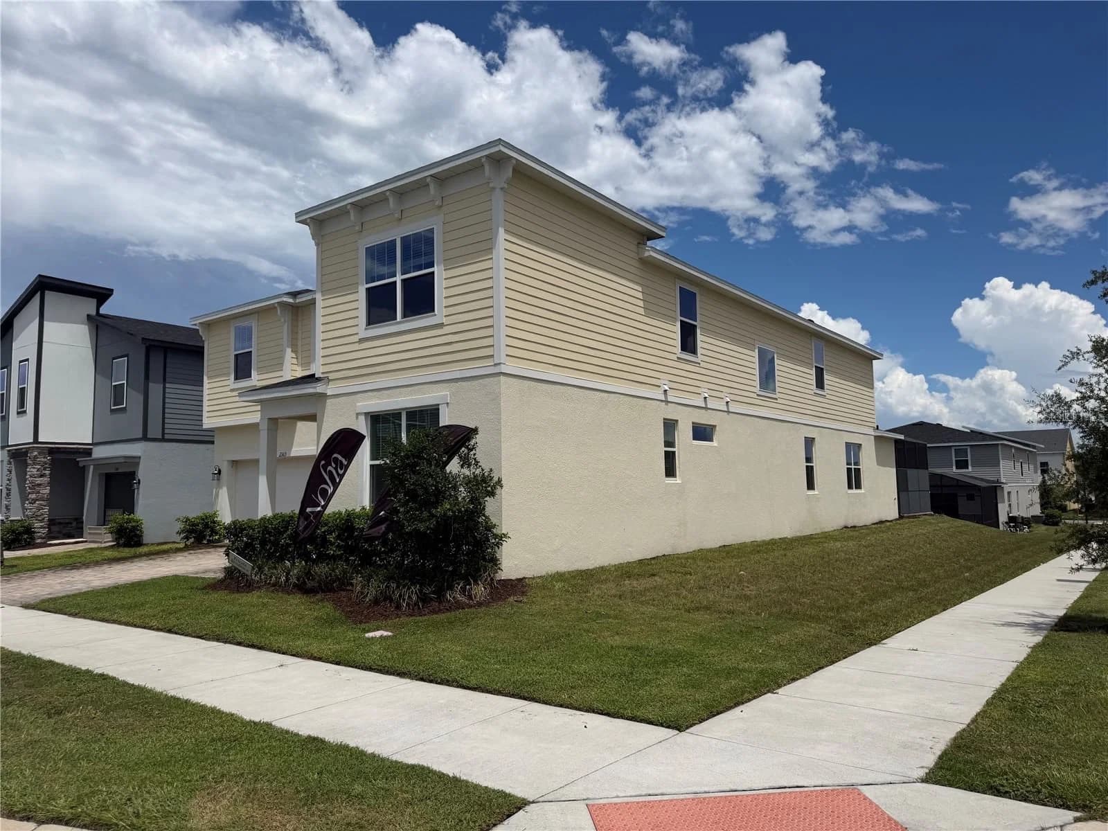 2303 SEA ROCK ROSE 2