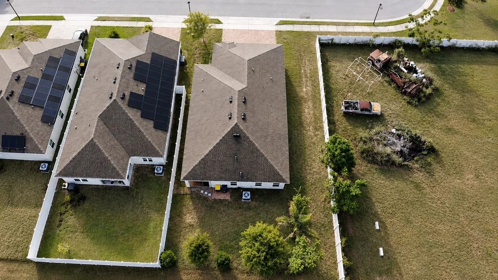 179 BLUE CYPRESS 5