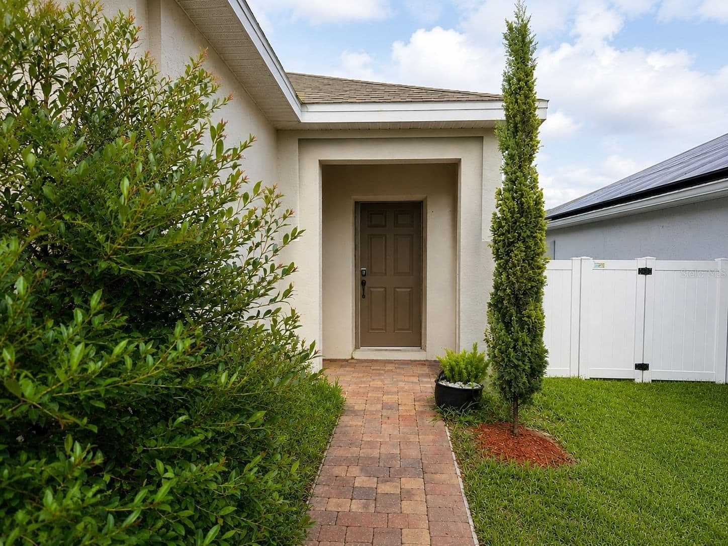 179 BLUE CYPRESS 3