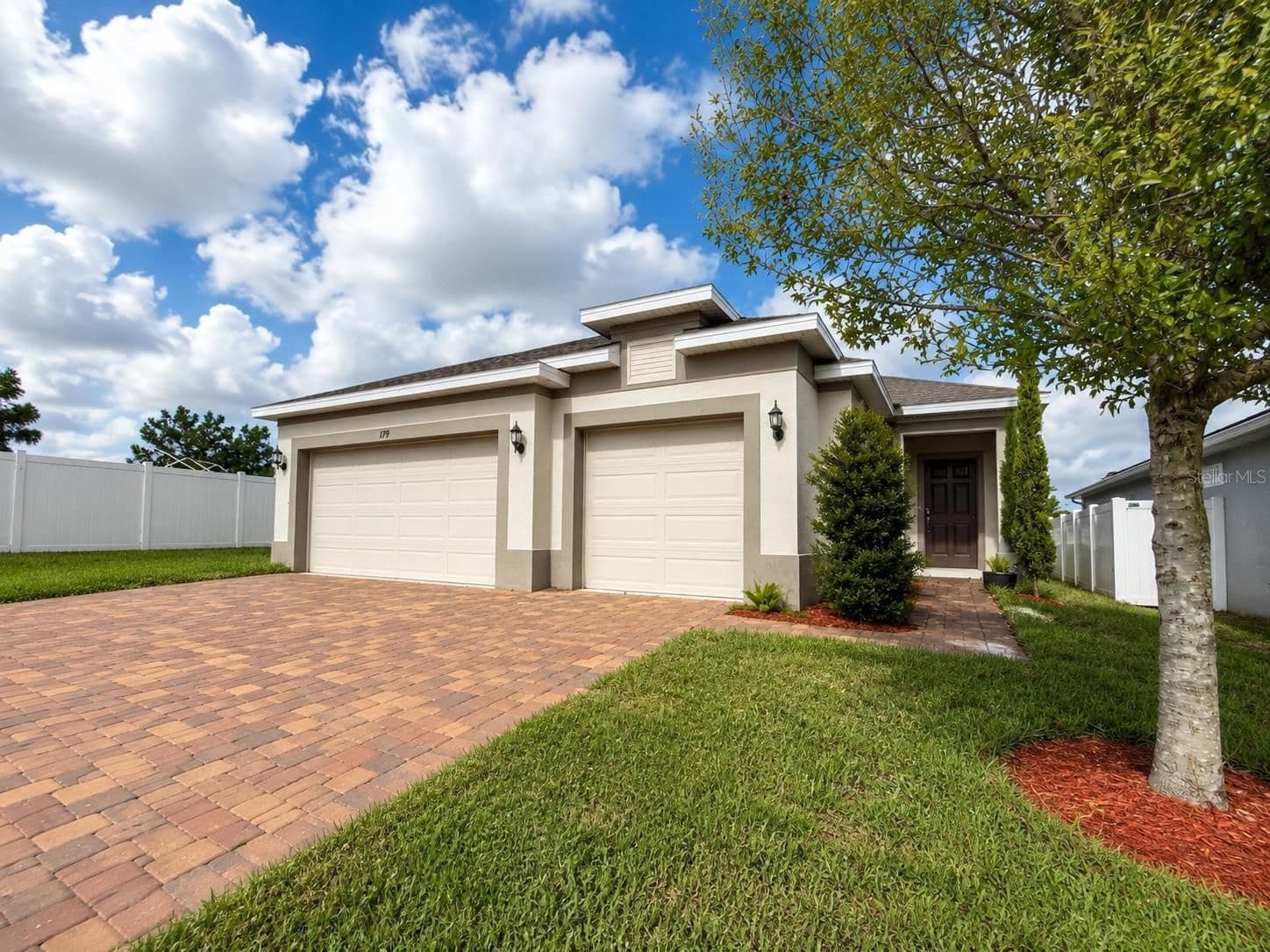 179 BLUE CYPRESS 2