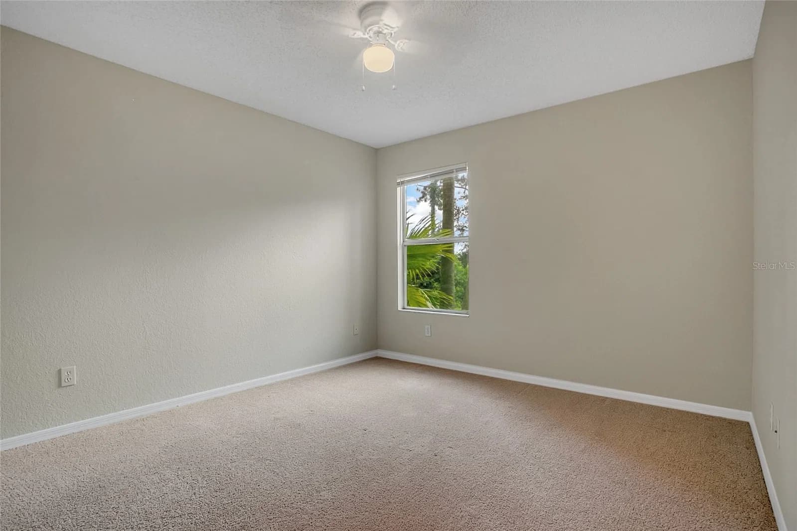 5164 CONROY 4