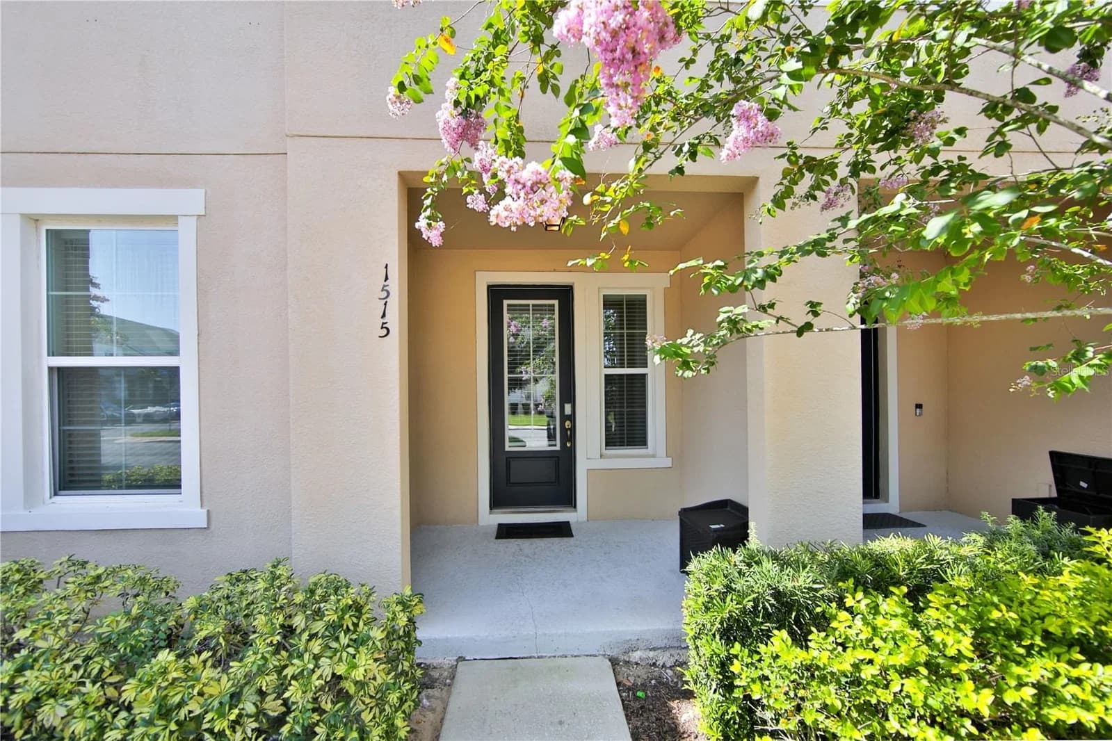 1515 CAREY PALM 2