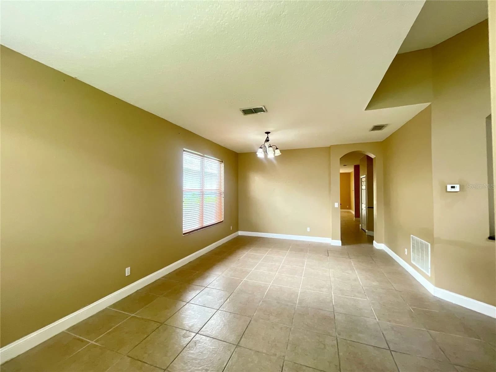 10366 CYPRESS KNEE 4