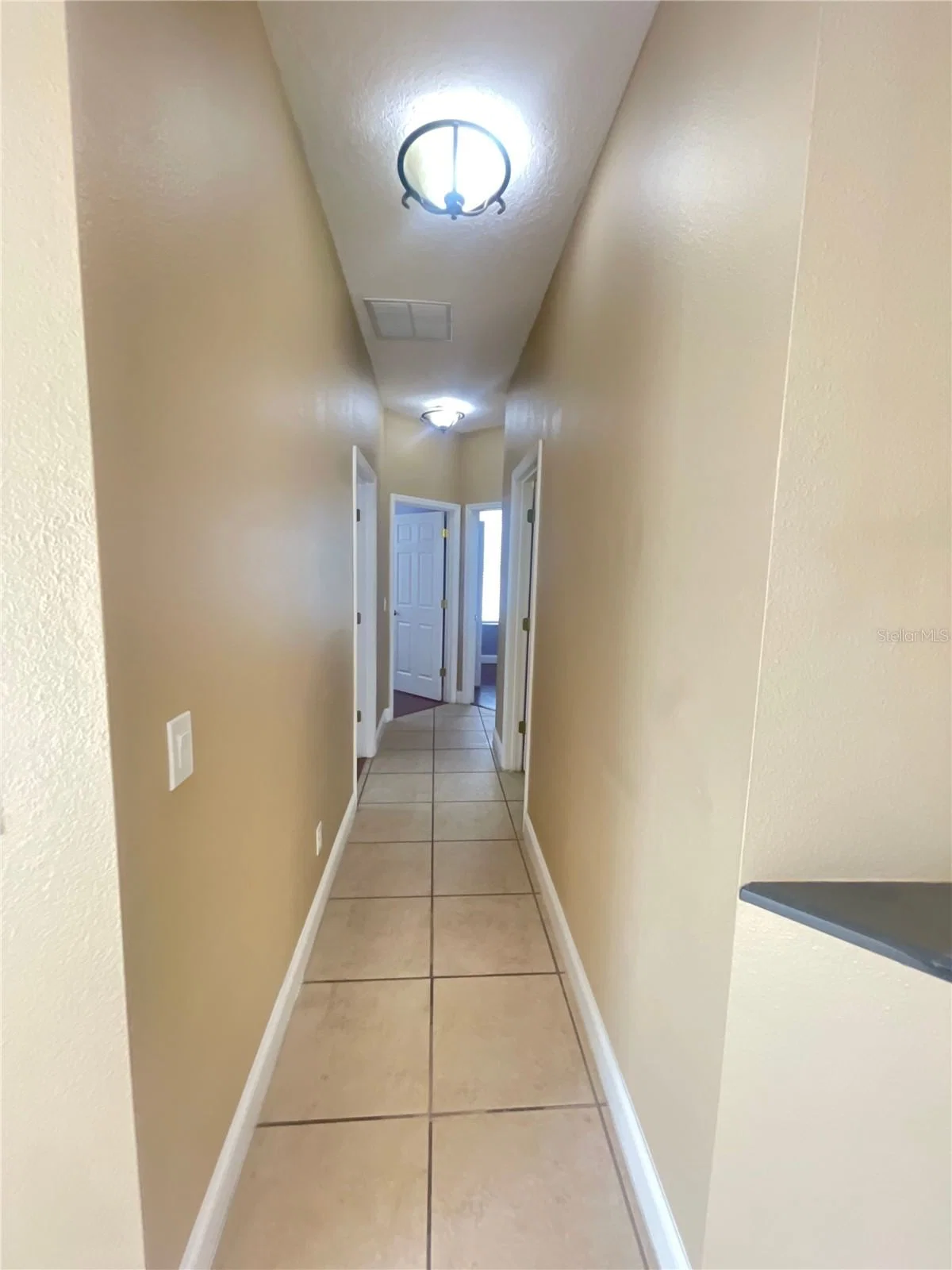 10366 CYPRESS KNEE 5