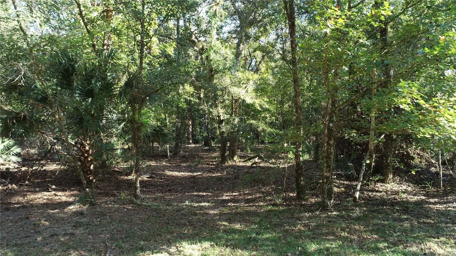 S COUNTY ROAD 13 5