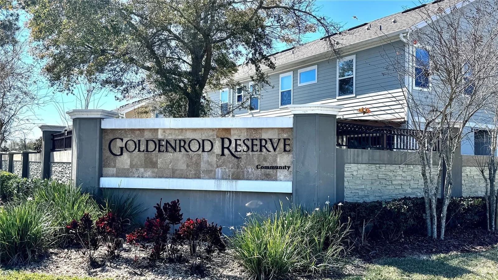 4420 GUMBO LIMBO 2