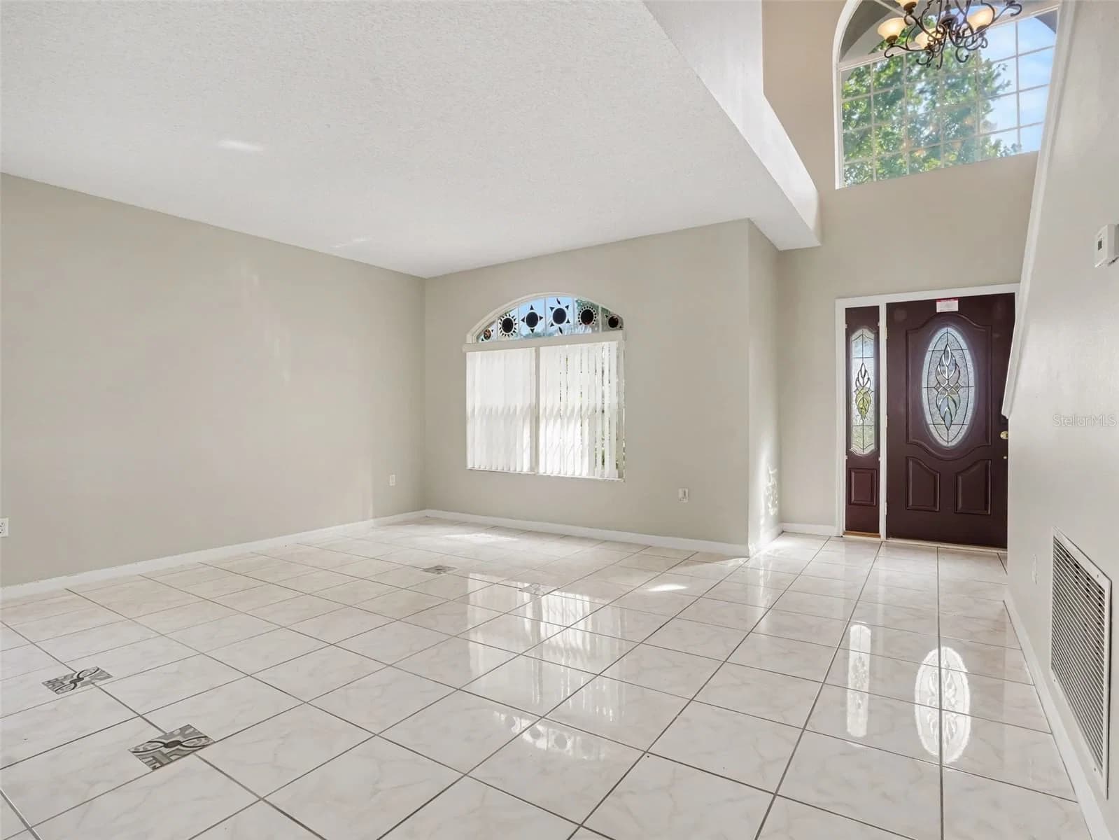 4568 FICUS TREE 5