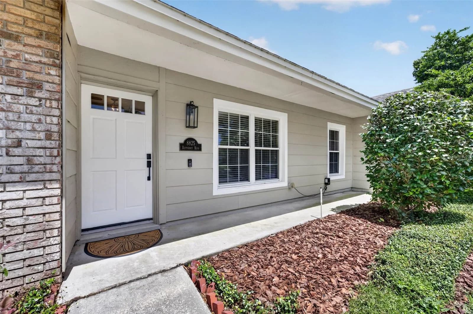 8825 BUTTERNUT 3