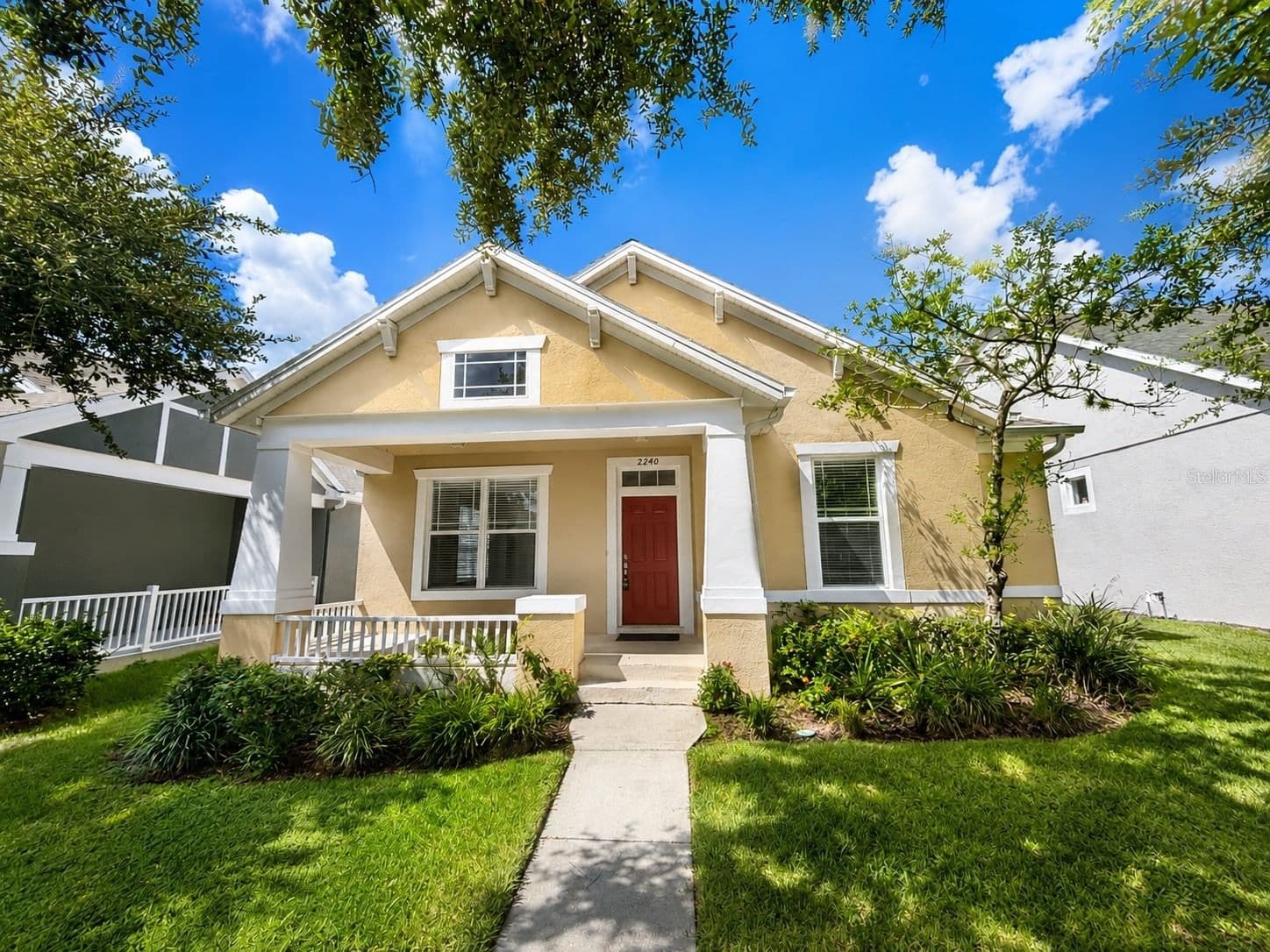 2240 FLORIDA SOAPBERRY 2