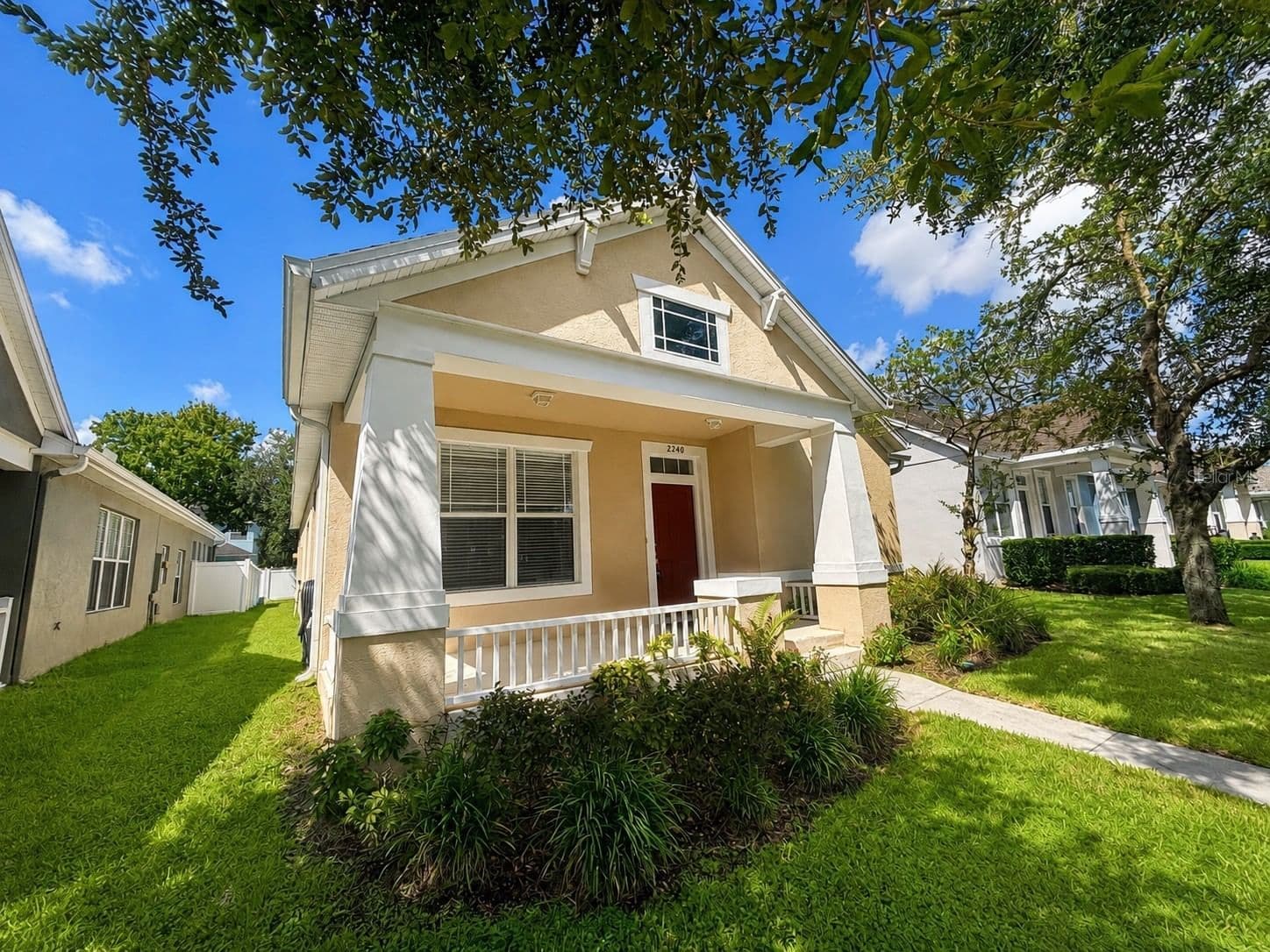 2240 FLORIDA SOAPBERRY 3