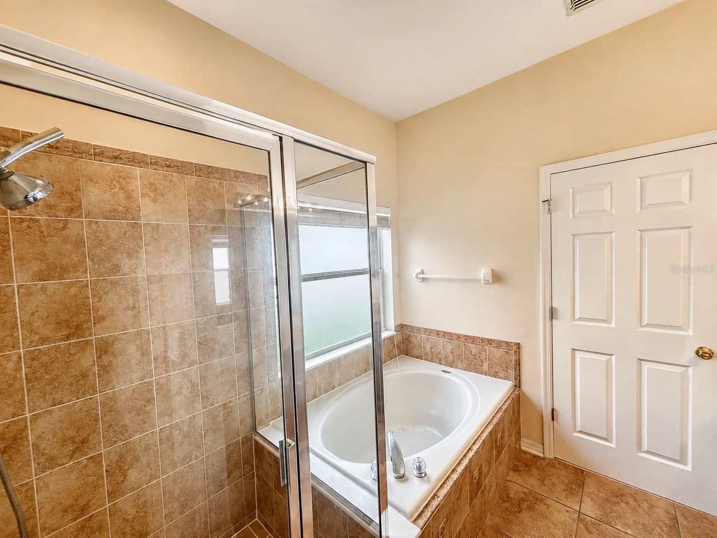 2240 FLORIDA SOAPBERRY 5