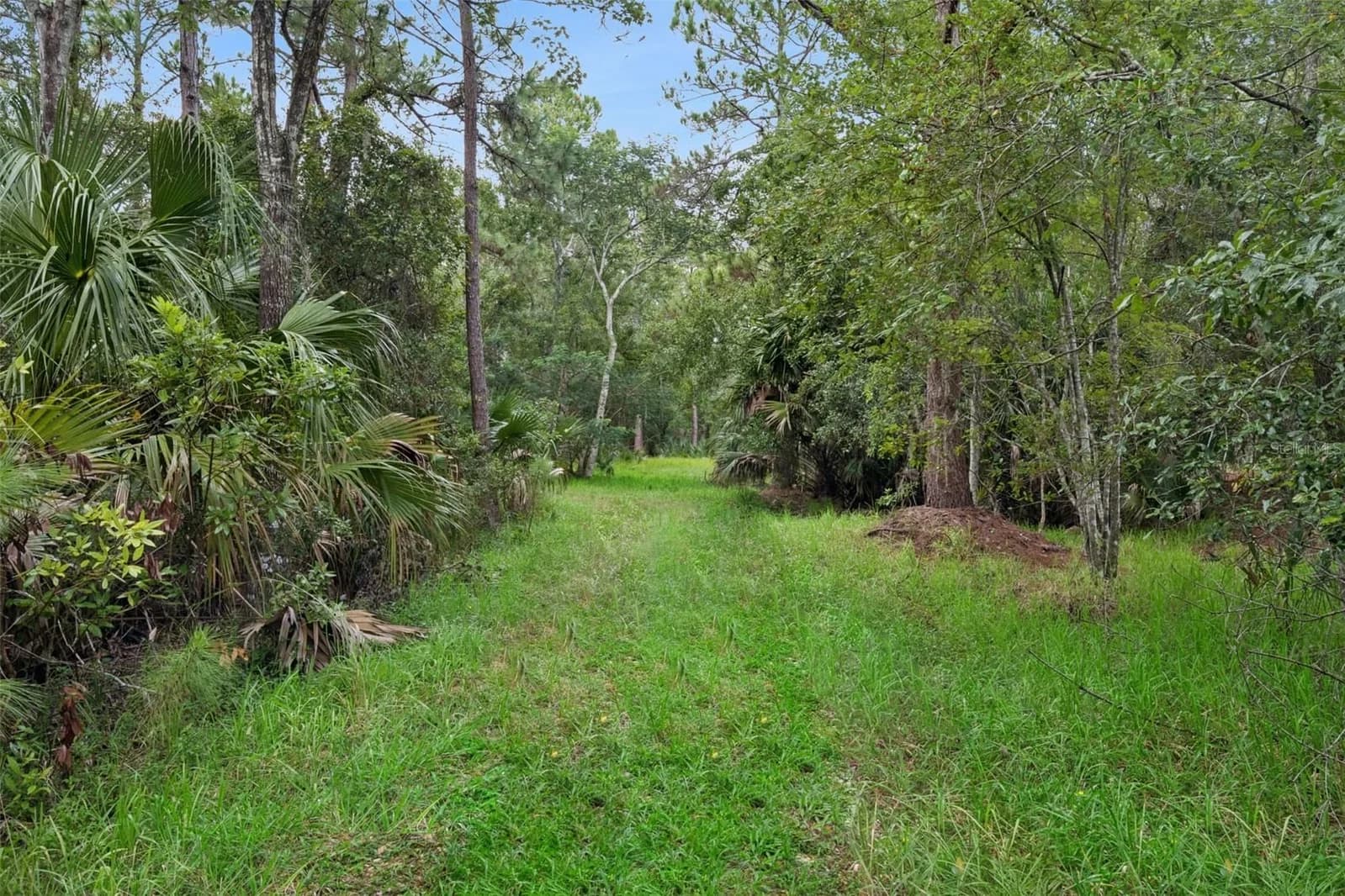 14133 LUND Drive, Orlando, FL 32826 3