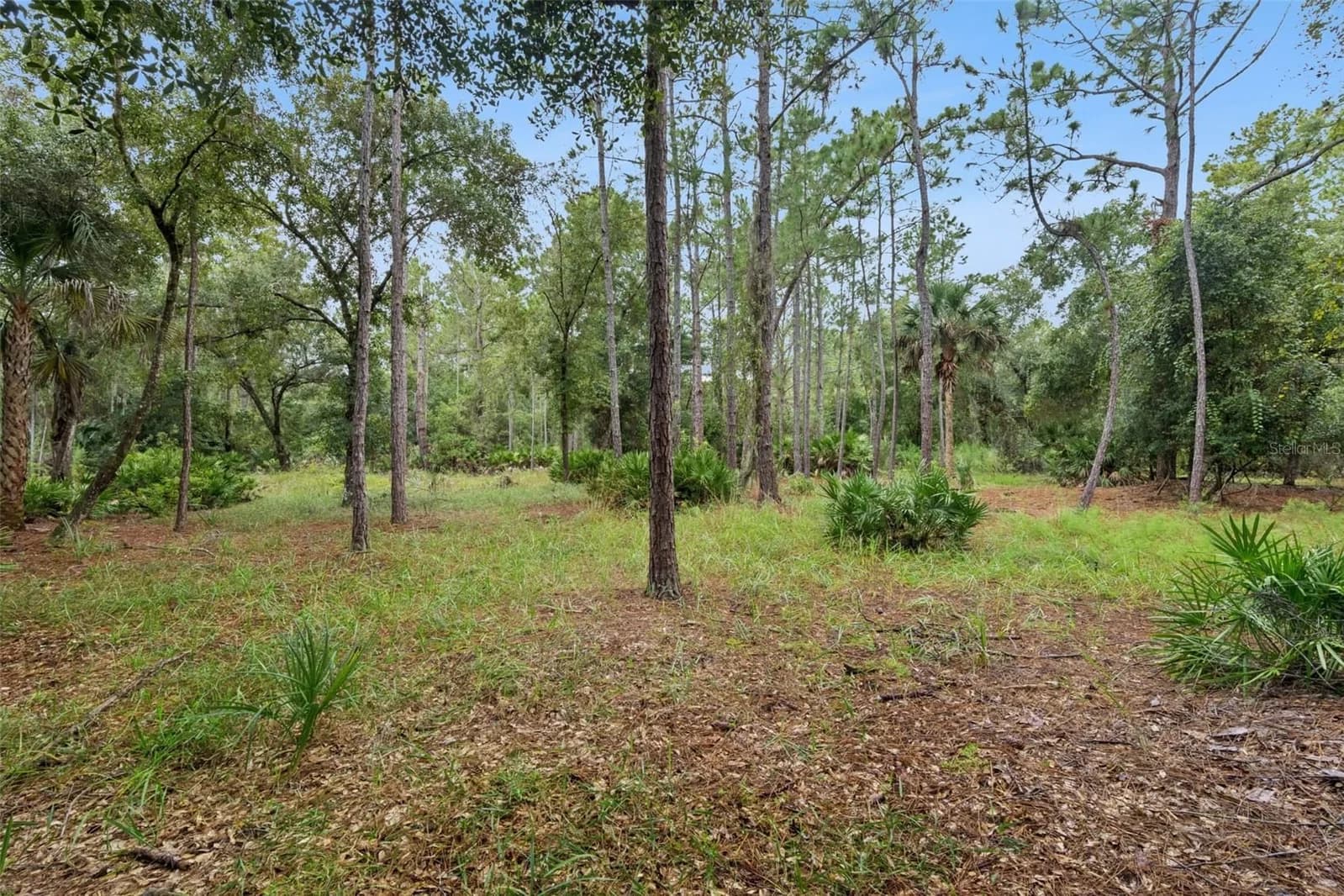14133 LUND Drive 4