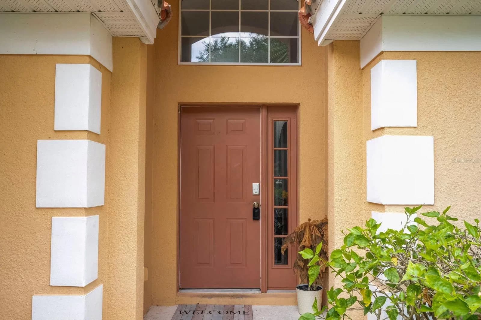 254 CORDOVA 3