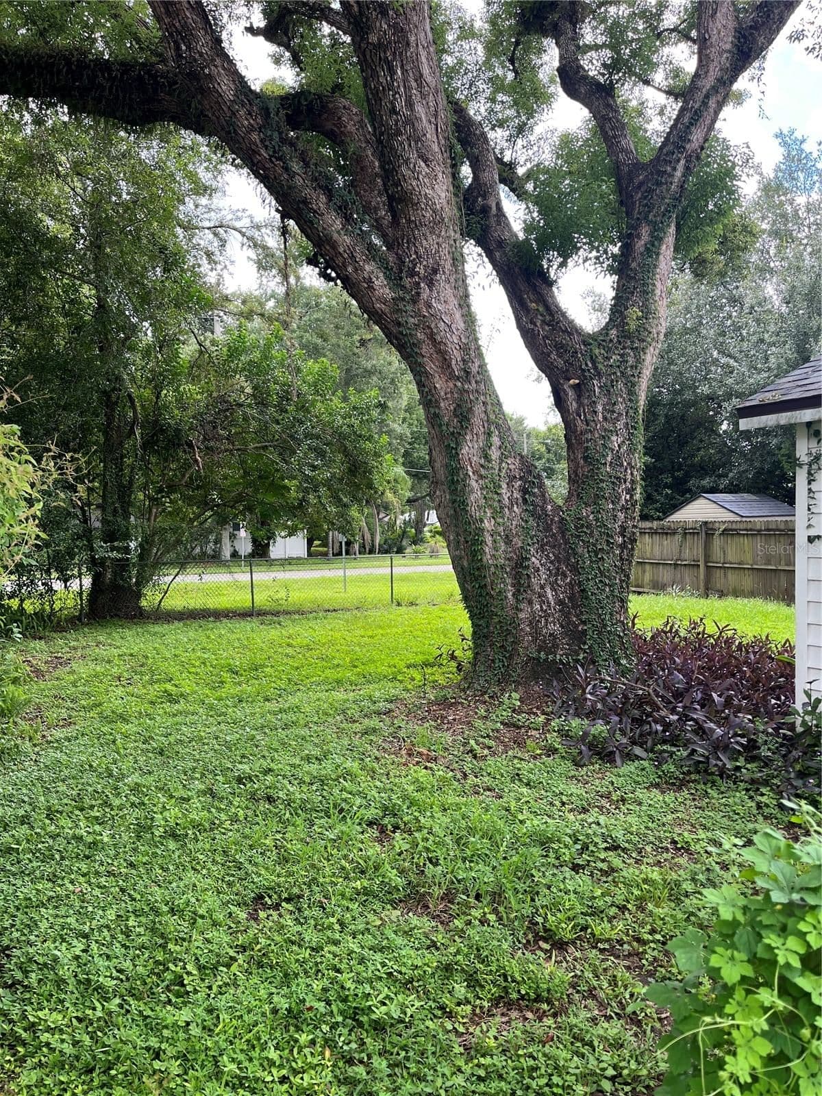 1507 WISE Avenue, Orlando, FL 32806 3