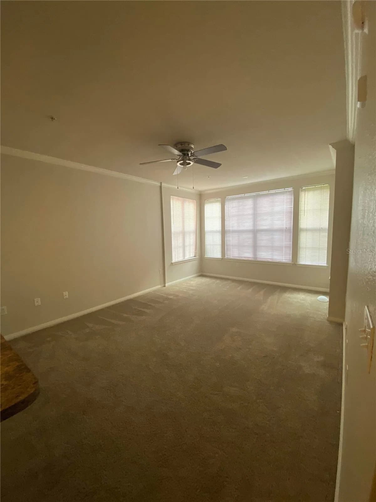 911 ORANGE Avenue #235, Orlando, FL 32801 3