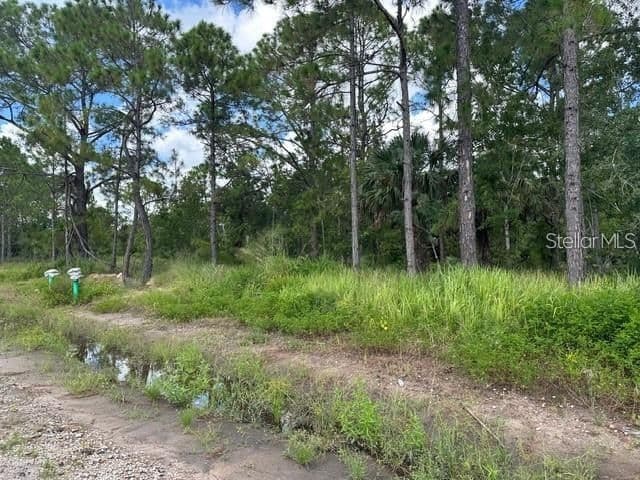 274 SPOONBILL, Kissimmee, FL 34759 2