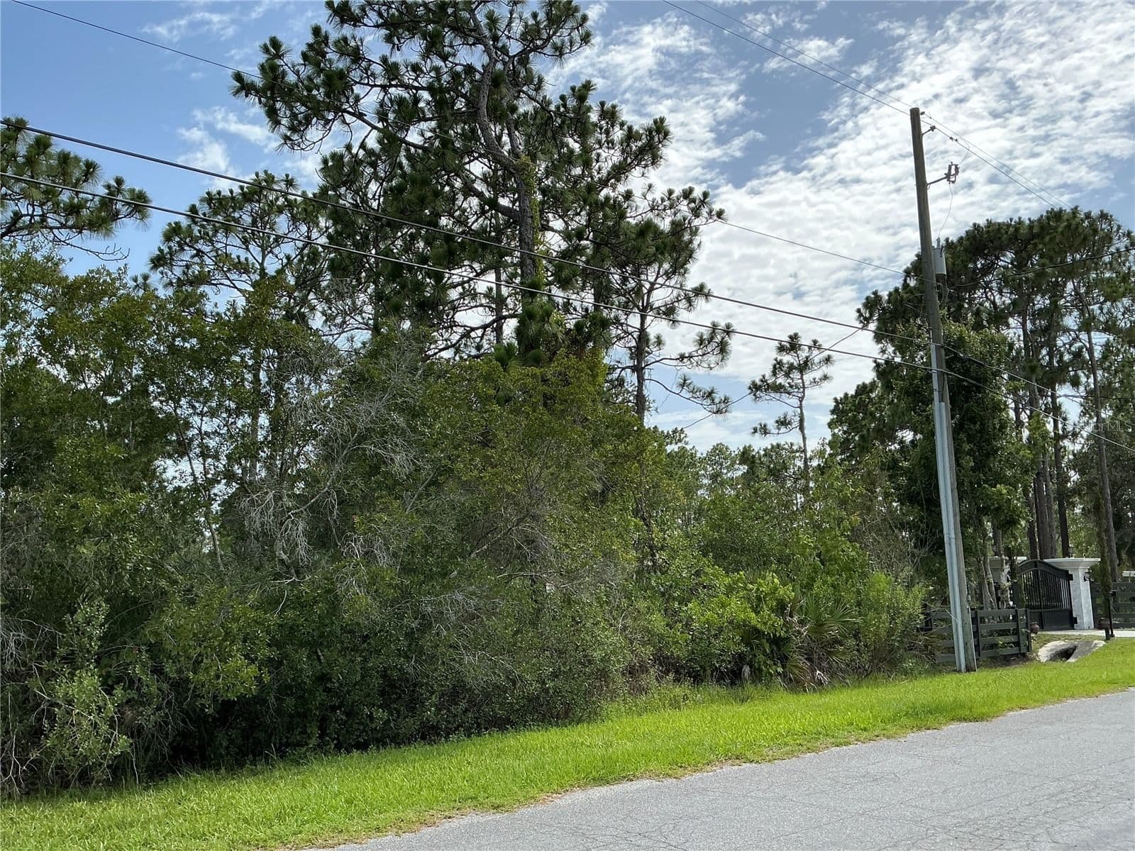 LOT 22 PEABODY 4