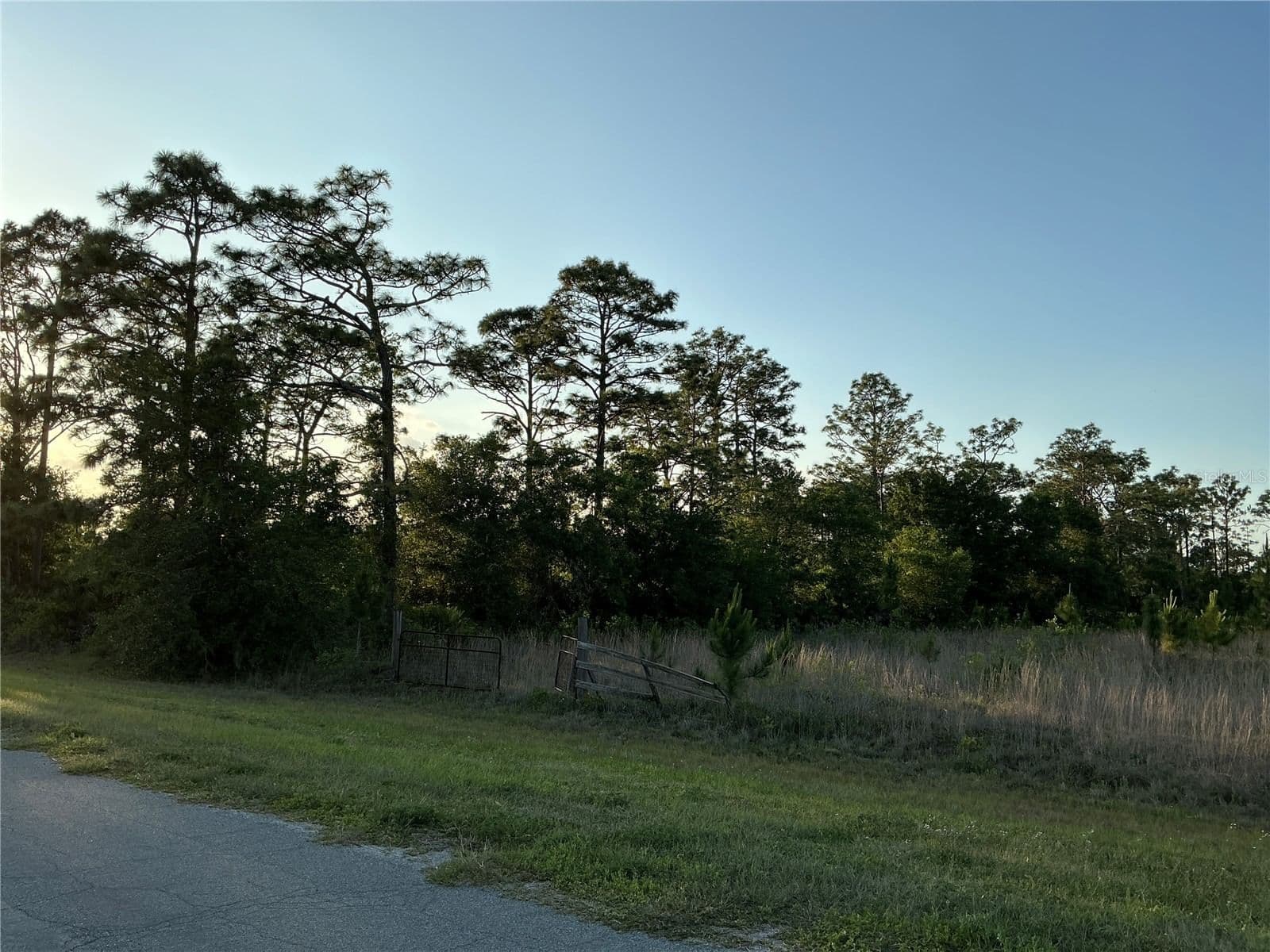 REYNOLDS Parkway, Orlando, FL 32833 3